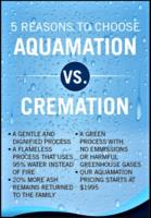 Tranquility Cremation By Aquamation image 1